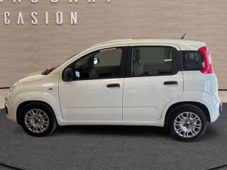 83130 : Hyundai Toulon - Autodif SAS - Groupe BALDASSARI - FIAT PANDA  - PANDA III - Blanc - Boîte manuelle - Essence sans plomb