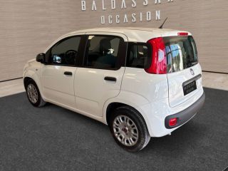 83130 : Hyundai Toulon - Autodif SAS - Groupe BALDASSARI - FIAT PANDA  - PANDA III - Blanc - Boîte manuelle - Essence sans plomb