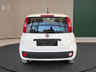 83130 : Hyundai Toulon - Autodif SAS - Groupe BALDASSARI - FIAT PANDA  - PANDA III - Blanc - Boîte manuelle - Essence sans plomb