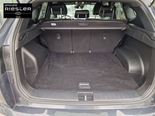 77600 : Hyundai Bussy-Saint-Georges - Protea by Riester - HYUNDAI TUCSON N Line Executive - TUCSON IV - NOIR - Boîte automatique - Essence / Courant électrique