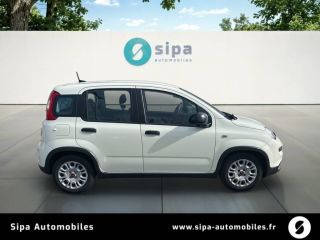 31200 : Hyundai TOULOUSE NORD - AUTO NORD - FIAT PANDA  - PANDA III - Blanc Gelato - Boîte manuelle - Essence sans plomb