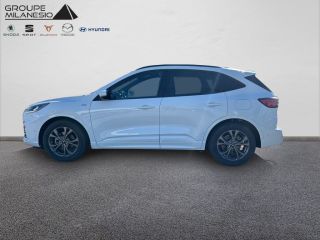 13730 : Hyundai Marignane - Cap Milanesio - FORD KUGA ST-Line - KUGA (10/2019-12/2023) - Blanc - Automate à fonct. Continu - Essence / Courant électrique