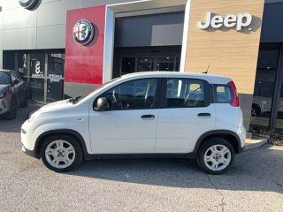 04100 : Hyundai Manosque - Pedinielli - FIAT PANDA MY22  - PANDA III - Blanc - Boîte manuelle - Essence sans plomb