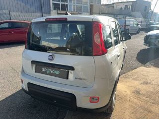 04100 : Hyundai Manosque - Pedinielli - FIAT PANDA MY22  - PANDA III - Blanc - Boîte manuelle - Essence sans plomb