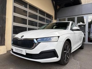78000 : Hyundai Versailles - SOCOHY - SKODA Octavia Combi - Octavia Combi - Blanc Cristal spéciale - Traction - Hybride rechargeable : Essence/Electrique