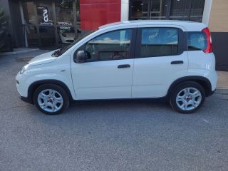 04100 : Hyundai Manosque - Pedinielli - FIAT PANDA  - PANDA III - BLANC - Boîte manuelle - Essence sans plomb